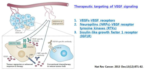 VEGF signaling을 표적으로 하는 치료법 개발의 필요성(Unmet need 3)