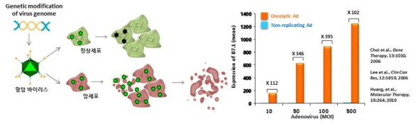 항암 아데노바이러스