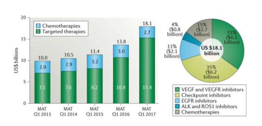 전 세계 폐암 치료제 시장의 증가 및 치료제 종류 (modified from Nature Reviews Drug Discovery, volume 17, pages 13–14, 2018)