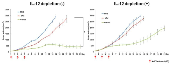 IL-12 depletion 후, GM103의 치료유전자 IL-12에 의한 항종양효과 감소
