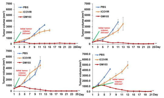 초기 종양 크기에 따른 GM103의 항종양효과 검증