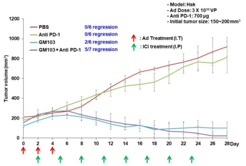 햄스터 신장암 모델에서 GM103와 anti PD-1 병용투여에 의한 항종 효과