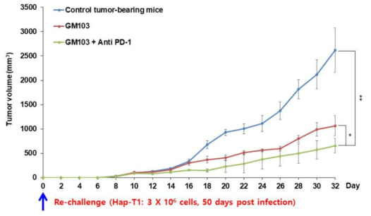 햄스터 췌장암 rechallenge모델에서 GM103와 anti PD-1 병용투여에 의한 항종양효과