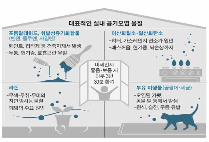 대표적인 실내공기 오염물질(출처: Bio platinum)