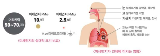 미세먼지가 인체에 미치는 영향(출처 : 환경부, 수도권대기환경청)