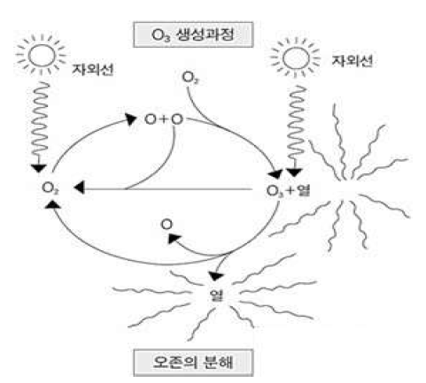 할로겐(Cl)의 오존 분해 과정