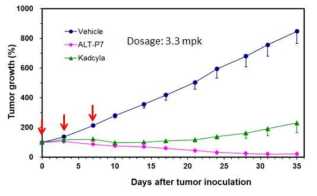 HER2 과발현 세포주인 BT-474를 이용한 mouse xenograft model에서의 ALT-P7과 Kadcyla (T-DM1)의 in vivo efficacy 비교 3.3 mg/kg의 dosage로 0, 3, 7일차에 IV (intravenous)로 약물을 투약하였음 (화살표)