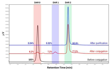 Single step 접합 반응 후, 85% 이상의 DAR 2 약물 접합 product 비율 (HI-HPLC 분석) 여타의 위치 특이적 접합 방식에 비하여 접합 수율 및 DAR 2 수율이 매우 높음