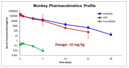 ALT-P7의 monkey pharmacokinetics 결과 ALT-P7의 total antibody detection을 통한 PK profile과 약물이 접합되어 있는 ADC 물질의 PK profile이 7일차까지 거의 동일한 pattern을 보임