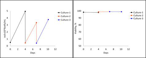 WCB 생산을 위한 세포배양시의 VCD 및 viability