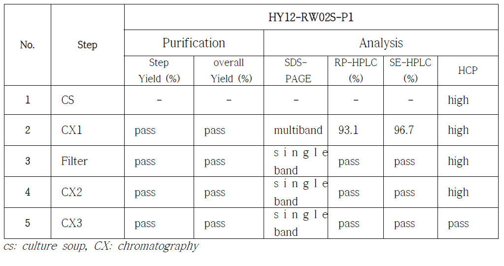 small scale에서 확인한 정제 수율 및 분석 결과