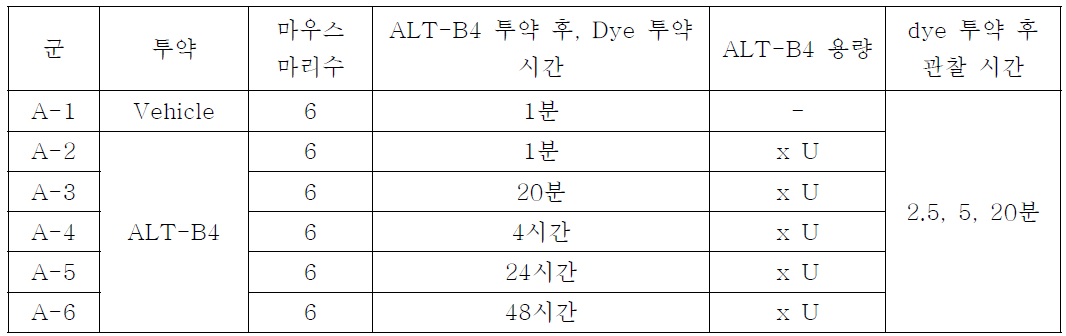 ALT-B4와 형광 염료(Trypan Blue)의 순차적 투약 시험 디자인