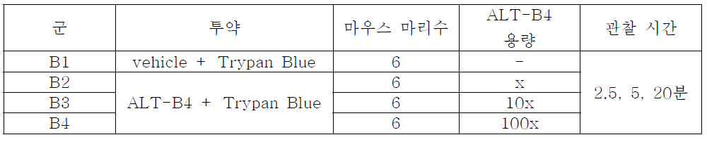 ALT-B4와 형광 염료(Trypan Blue)의 병용 투약 시험 디자인