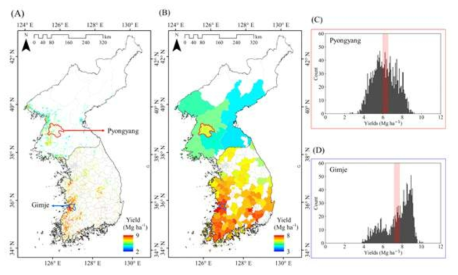 픽셀 및 행정구역 단위의 2017년 벼 생산량 예측 지도(A, B)와 평양과 김제 지역의 벼 생산량 공간정보를 픽셀 단위 히스토그램(gray bars)과 행정구역 단위 단일 값(red bar)으로 분석한 결과(C, D)