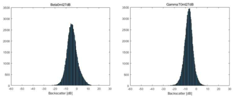 SAR 영상(좌)과 Flattening 감마(우) 히스토그램