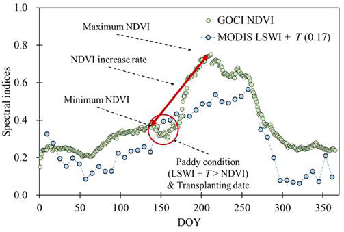 논에서만 나타날 수 있는 GOCI NDVI와 MODIS LSWI 분광지수의 시계열 특징