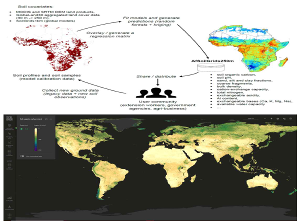 AfSIS 2단계 프로젝트 개념도 및 AfSIS 프로젝트 토양지도 산출물 서비스(soilgrids.org)