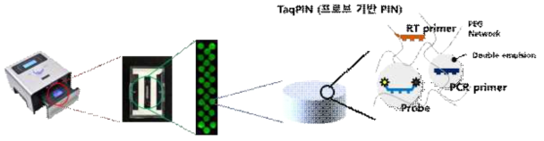 마이크로 입자 내 double emulsion을 이용해 primer/probe 공급하는 TaqPIN의 구성도