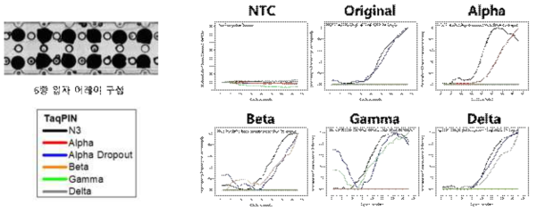 코로나 바이러스 변이 구분 6종 TaqPIN 어레이를 구성하여 viral RNA를 이용해 특이도 평가