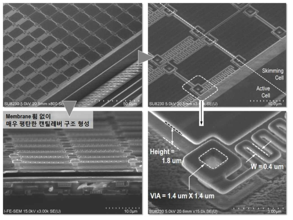 신호취득회로 상에 MEMS 공정을 통해 집적된 MBFPA 형상 (SEM)