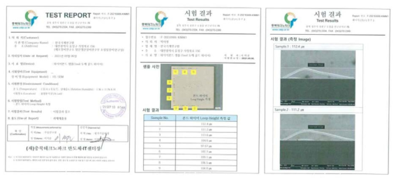 MMIC Daisy Chain 더미칩 Wedge 와이어본딩 Wire Loop Height 측정 결과