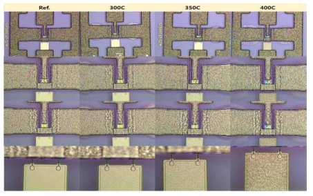 RTA를 이용한 Post annealing 온도에 따른 소자 모폴로지 변화