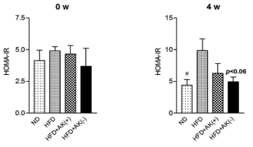 활성형 및 비활성형 AK 균주의 인슐린 저항성 지표(HOMA-IR) 개선 효과 비교