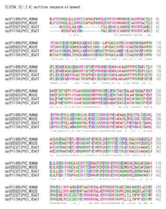PC protein sequence alignment
