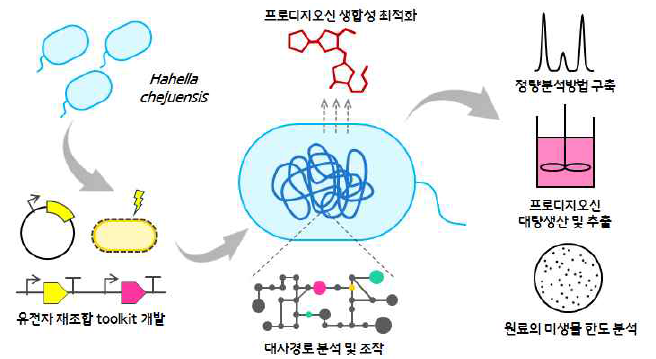프로디지오신(개발대상소재)의 대량생산전략