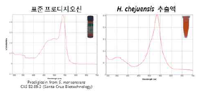 표준 프로디지오신과 H. chejuensis 추출액의 흡광도 곡선