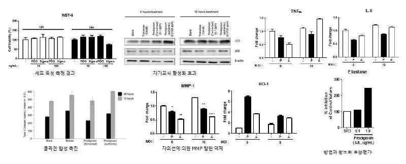 하헬라 제주엔시스 유래 추출물 프로디지오신의 기능검증 및 바이오마커발굴시험
