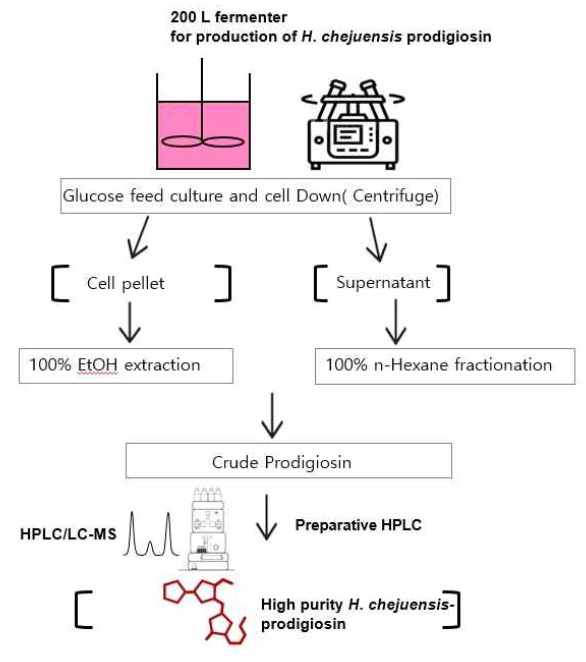 Hallela chejuensis 유래 prodigiosin 추출 및 분리 정제 최적화 모식도