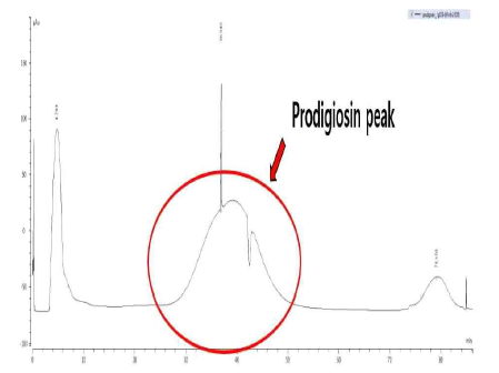 Prep-HPLC 분리정제 결과