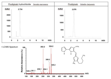 고 순도 프로디지오신 HPLC 분석결과, LC/MS 분석결과