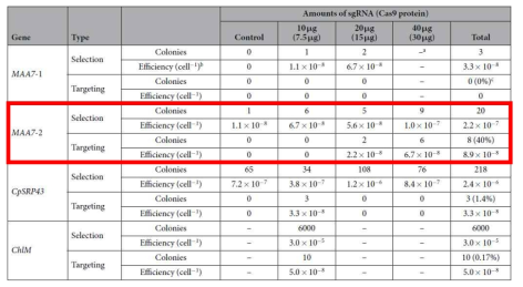 문헌에 보고된 Cas9 RNP 기반의 MAA7 knock out 연구 결과