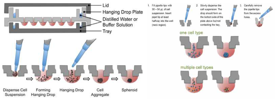 Perfecta3D haning drop plate 도식화