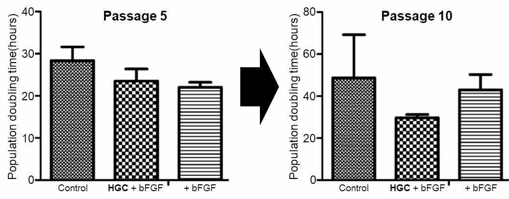 HGC와 bFGF를 혼합하여 장기간 배양했을 때 세포의 population doubling time 변화