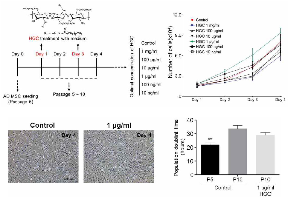 농도 별 HGC 처리하였을 때의 성장곡선 및 population doubling time