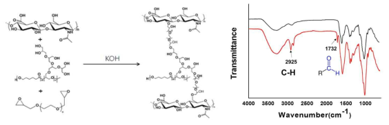 HA 가교 합성 구조식 및 가교된 HA의 IR분석 결과