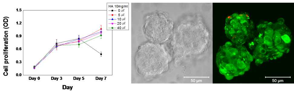 HA 미립구에 대한 세포 생존율 측정
