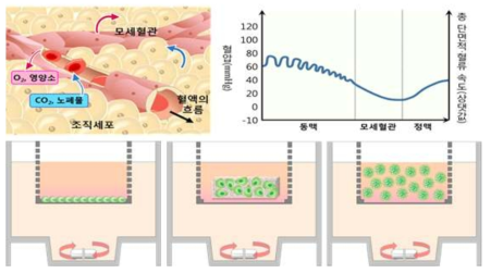 교반기로 유체흐름을 줄 수 있는 반응기 설계도면