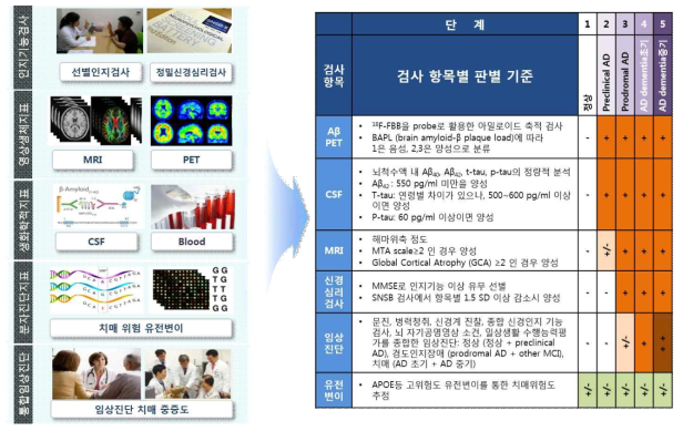 치매 중증도 세분화 체계 확립