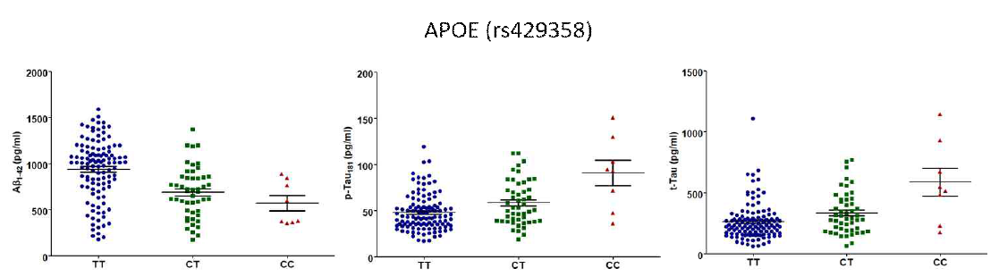 APOE 치매위험 유전변이의 유전형에 따른 CSF내 Aβ42, tTau, pTau 정량 그래프