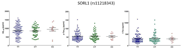 SORL1 치매위험 유전변이의 유전형에 따른 CSF내 Aβ42, tTau, pTau 정량 그래프