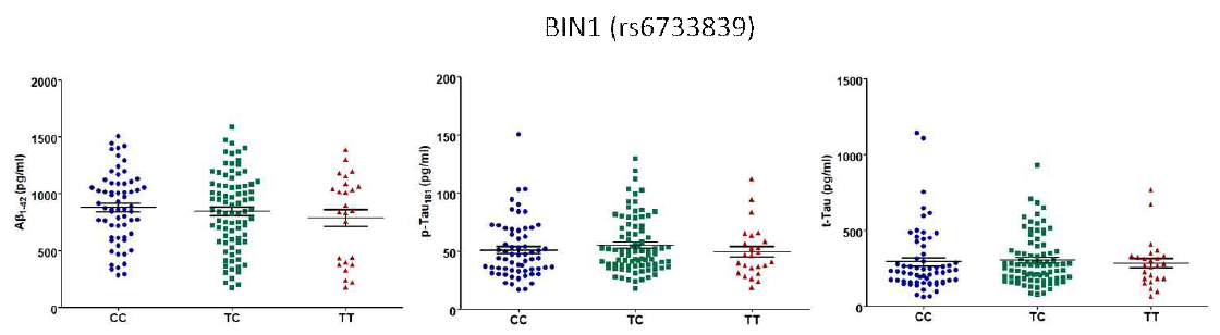 BIN1 치매위험 유전변이의 유전형에 따른 CSF내 Aβ42, tTau, pTau 정량 그래프