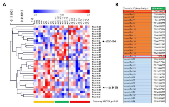 158개 miRNA 중 microarray 시그널 데이터 값이 모든 샘플의 50% 이상이 유의미한 값을 가진 31개의 miRNA에 대한 Heat map 및 p-value 목록