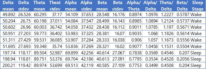 기계학습을 위해 추출된 특징 정보와 수면 단계(Wake/Sleep) 분류의 예