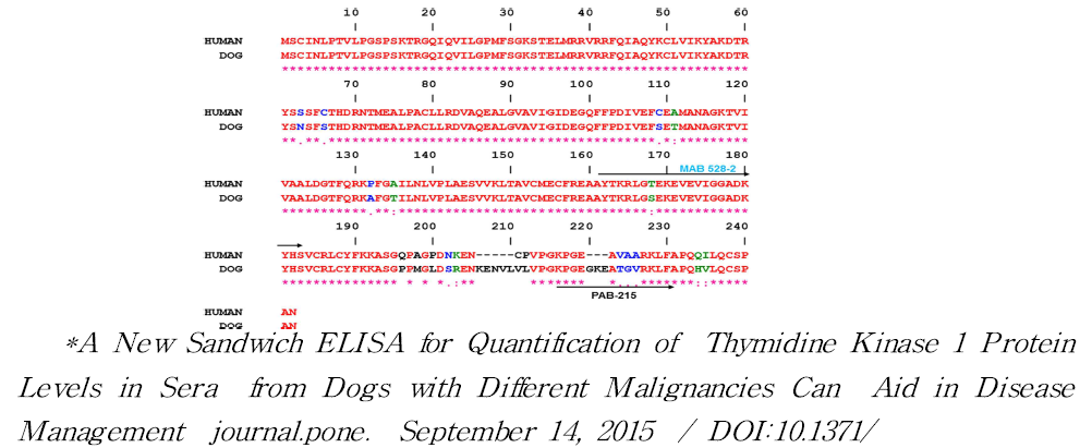 canine Thymidine Kinase의 유전자 서열