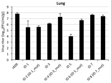 H1N1 HA recombinant DPI 5의 장기에서의 바이러스 역가