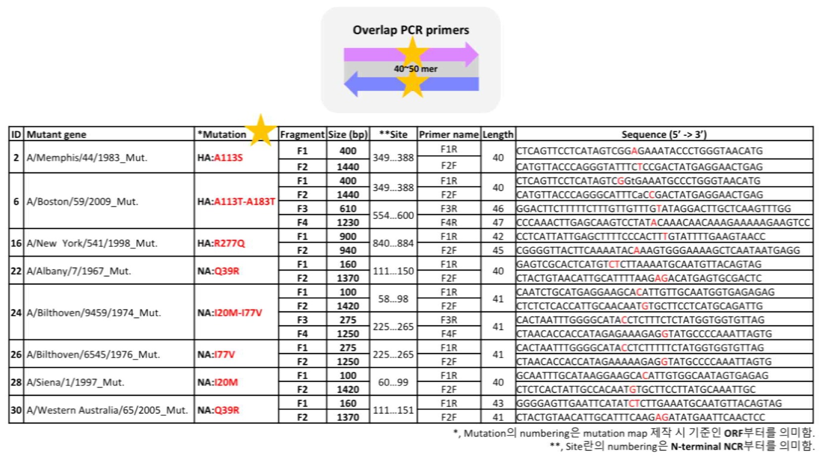 Overap Extension PCR을 위한 프라이머 리스트